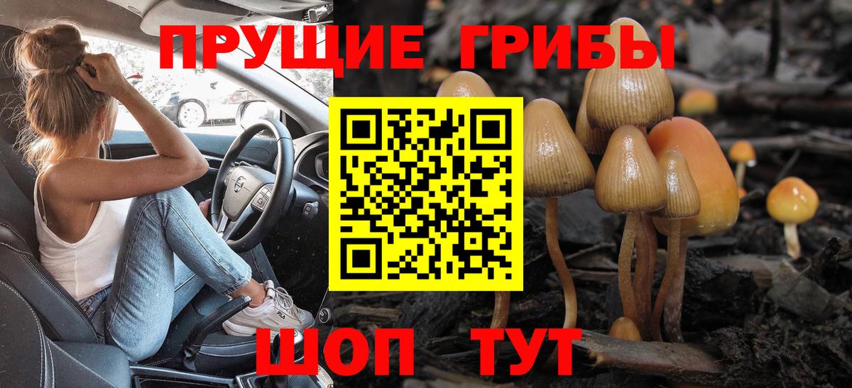 Псилоцибиновые грибы Magic Shrooms  Вход с VPN  хочу наркоту  Псилоцибиновые грибы Psilocybe  Пугачёв 